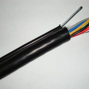 ɽ�|ʡ��(y��u)�|늾���|���a���������̩